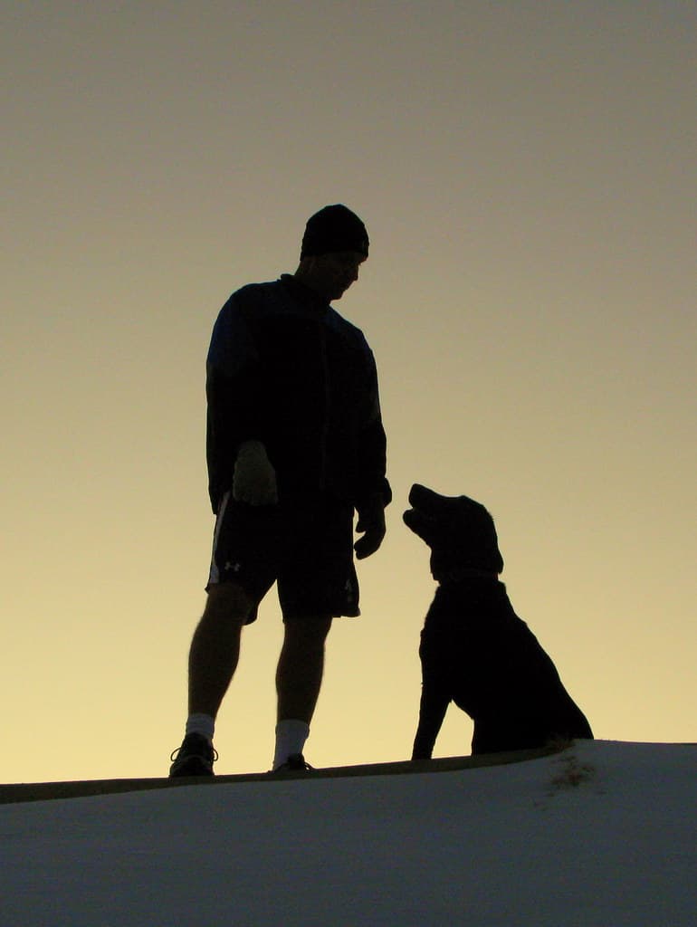 Silueta de un chico y su perro al atardecer