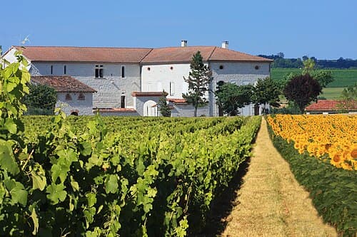 Viñedos de Gaillac