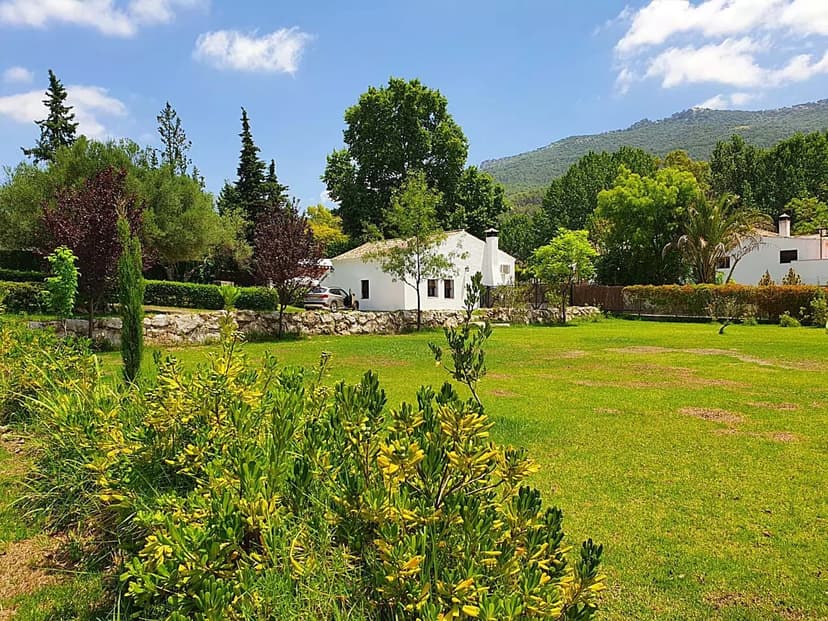 Complejo Rural El Molino de Abajo — casa_rural en El Bosque, Cádiz, Andalucía · Chimenea en el salón