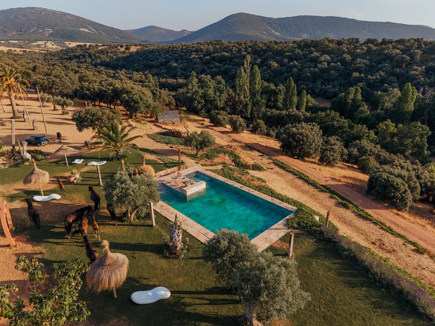 Cork Valley — la finca de la cabaña, en Hontanar, Toledo (imagen 14)