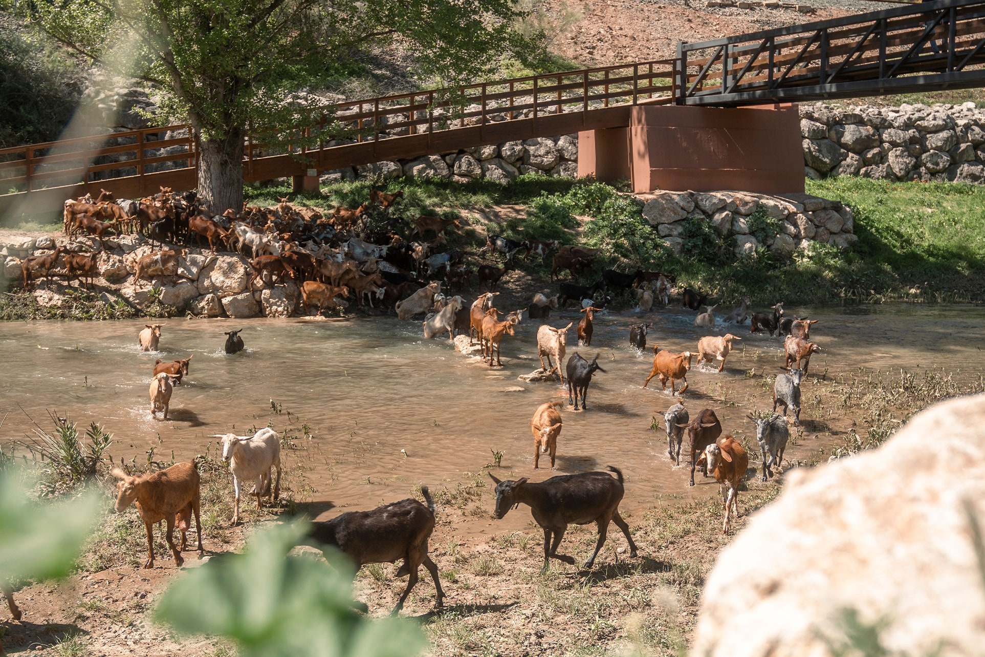 Eco Hotel Cueva del Gato — instalaciones y entorno del camping, en Benaoján, Málaga (imagen 2)