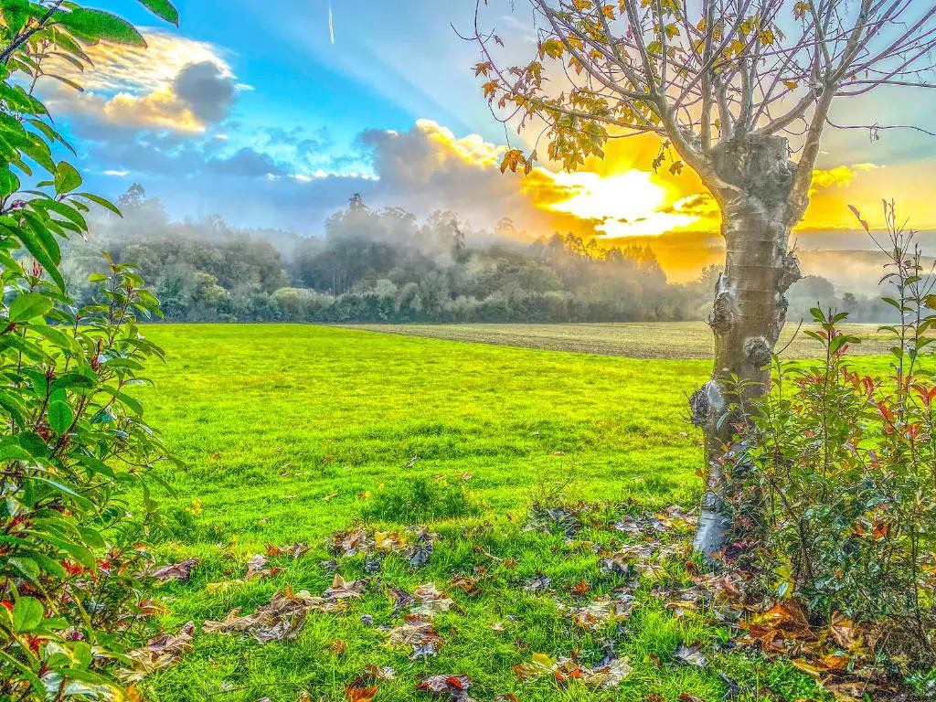 A Ribeira do Tambre — instalaciones, parcelas y entorno (imagen 18)