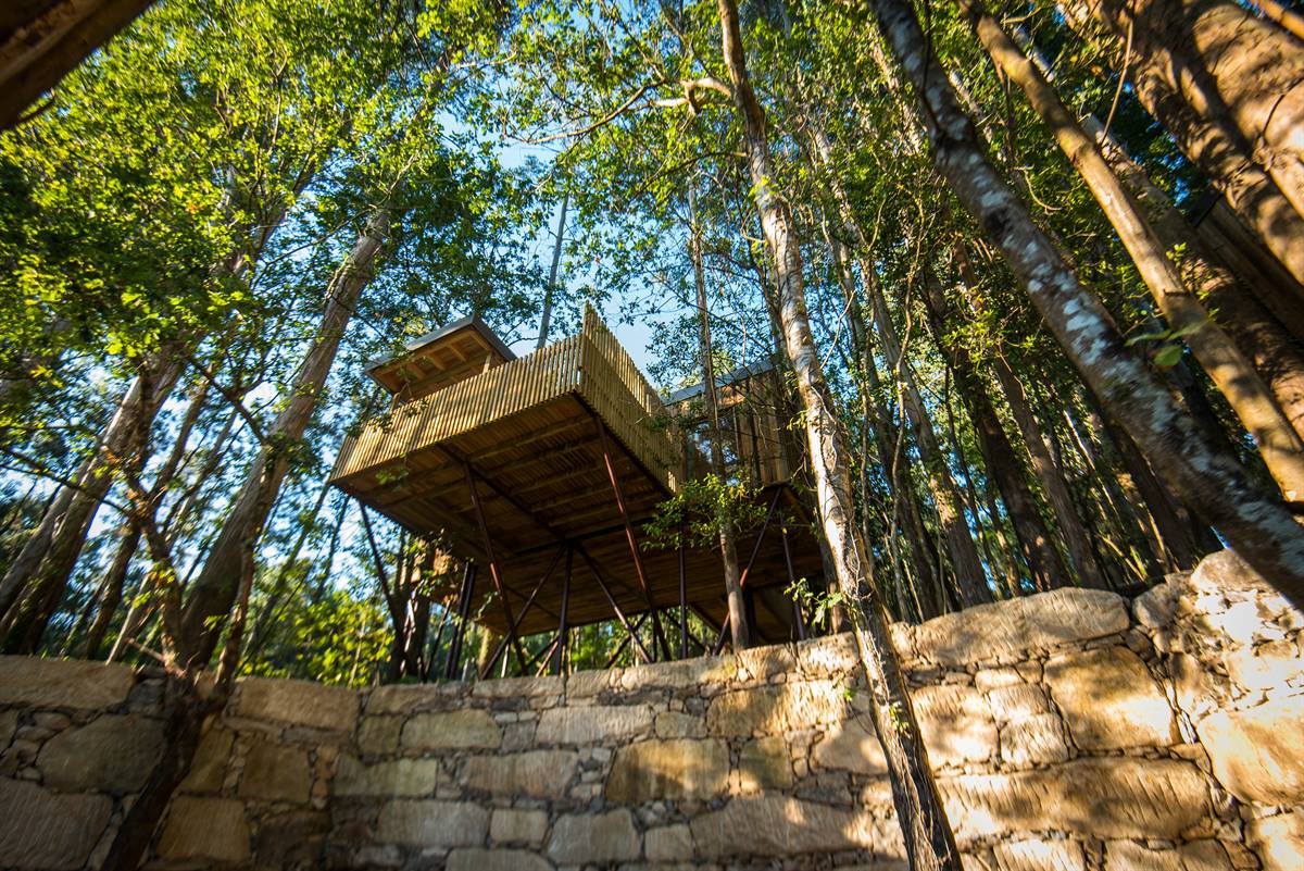 Cabañitas del Bosque — foto principal del camping