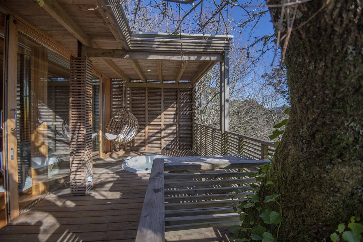 Cabañitas del Bosque — instalaciones, parcelas y entorno (imagen 2)
