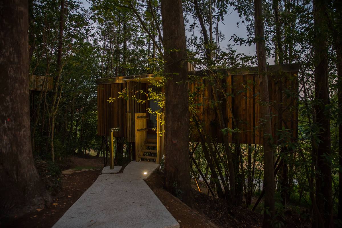 Cabañitas del Bosque — instalaciones, parcelas y entorno (imagen 9)