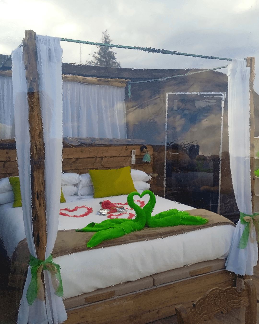 Cosmoveros Hotel Burbuja — instalaciones, parcelas y entorno (imagen 4)