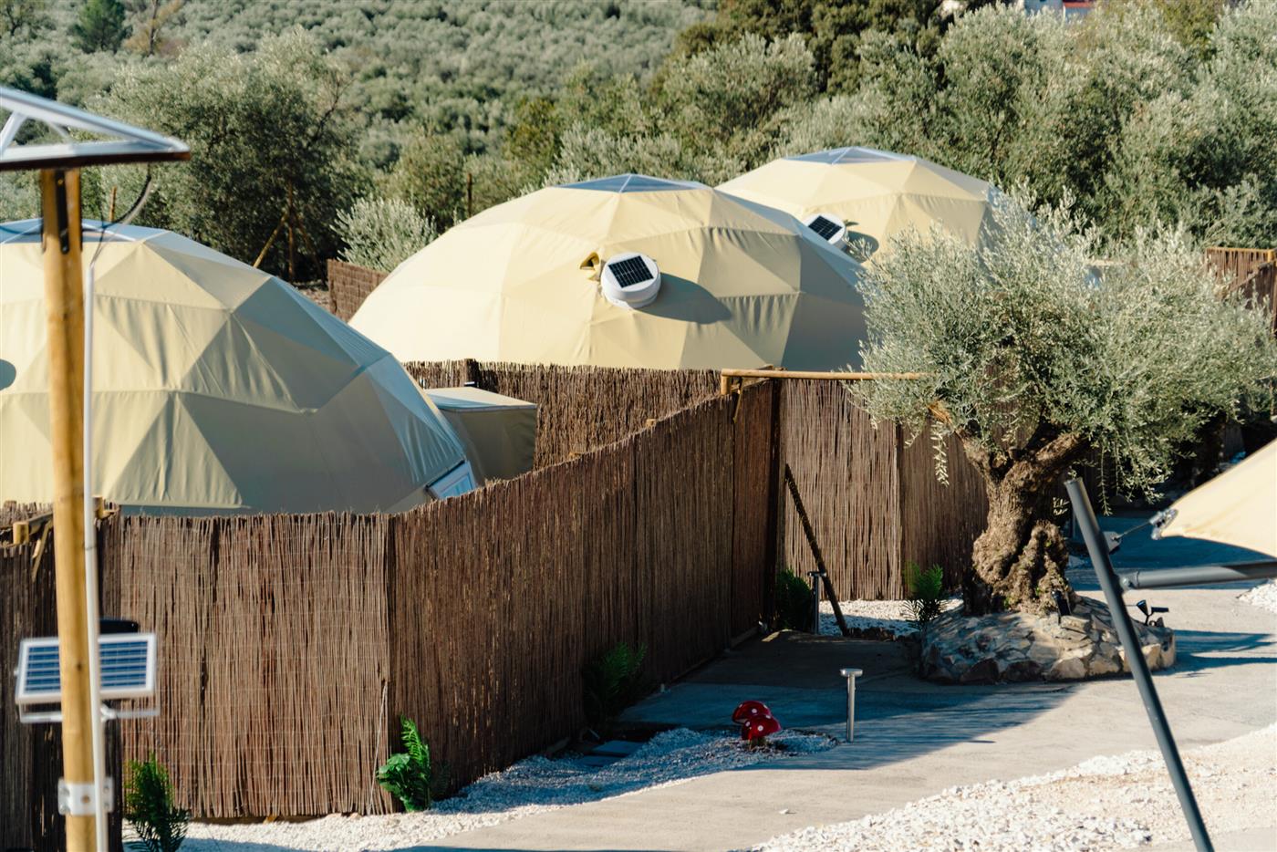 El Refugio del Indio — instalaciones, parcelas y entorno (imagen 17)