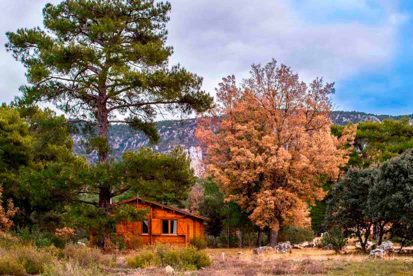 Cabañas Llano de los Conejos — instalaciones, parcelas y entorno (imagen 10)