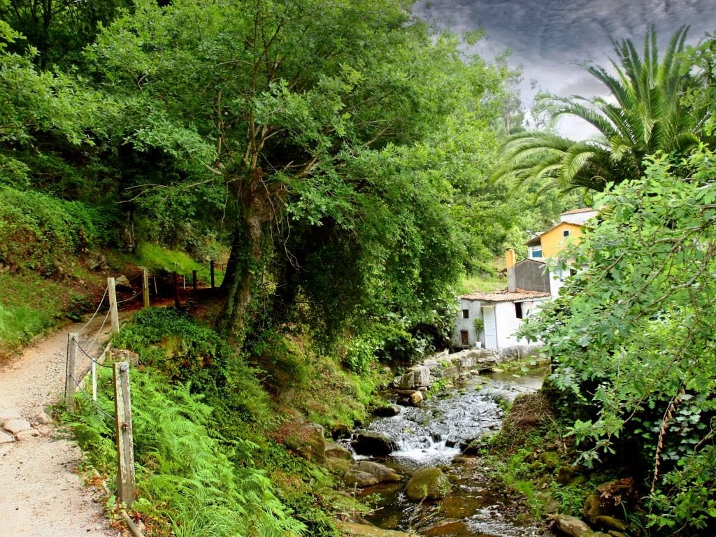 Luar do Sarela — instalaciones, parcelas y entorno (imagen 3)