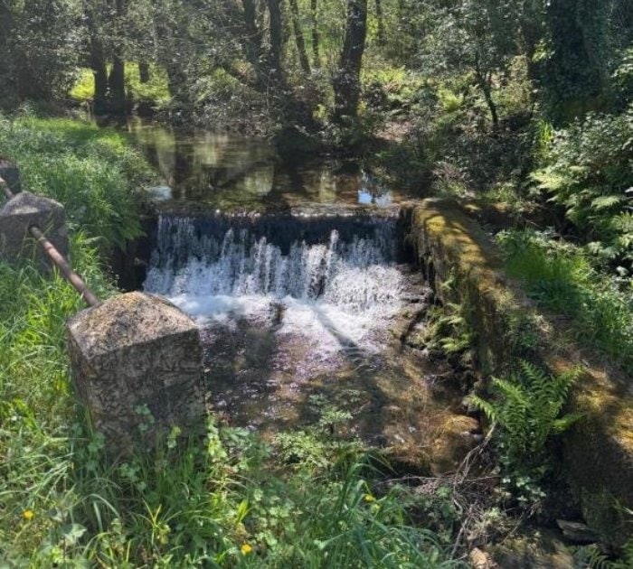 Luar do Sarela — instalaciones, parcelas y entorno (imagen 16)