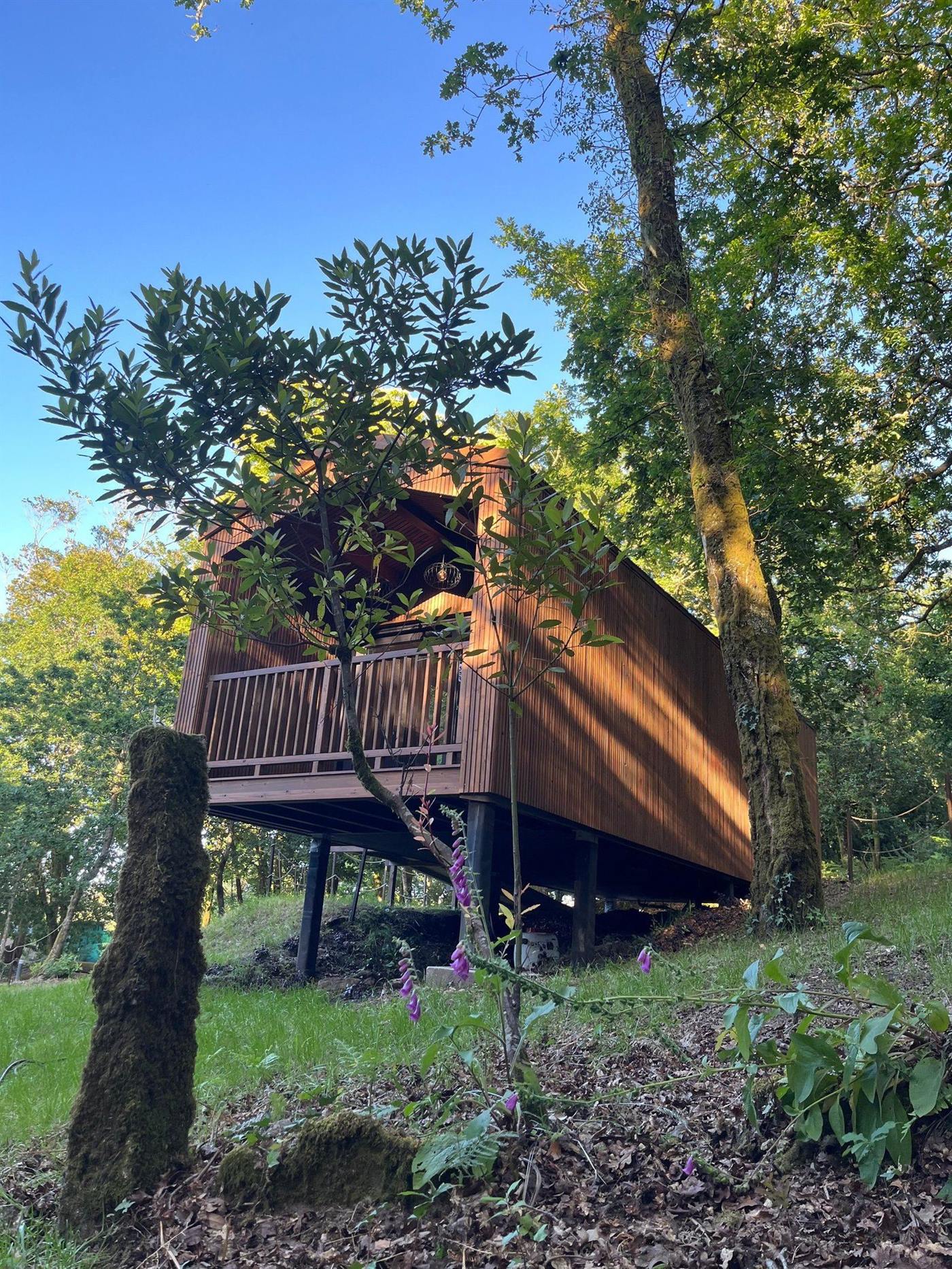 Refuxio da Carballeira — instalaciones, parcelas y entorno (imagen 2)
