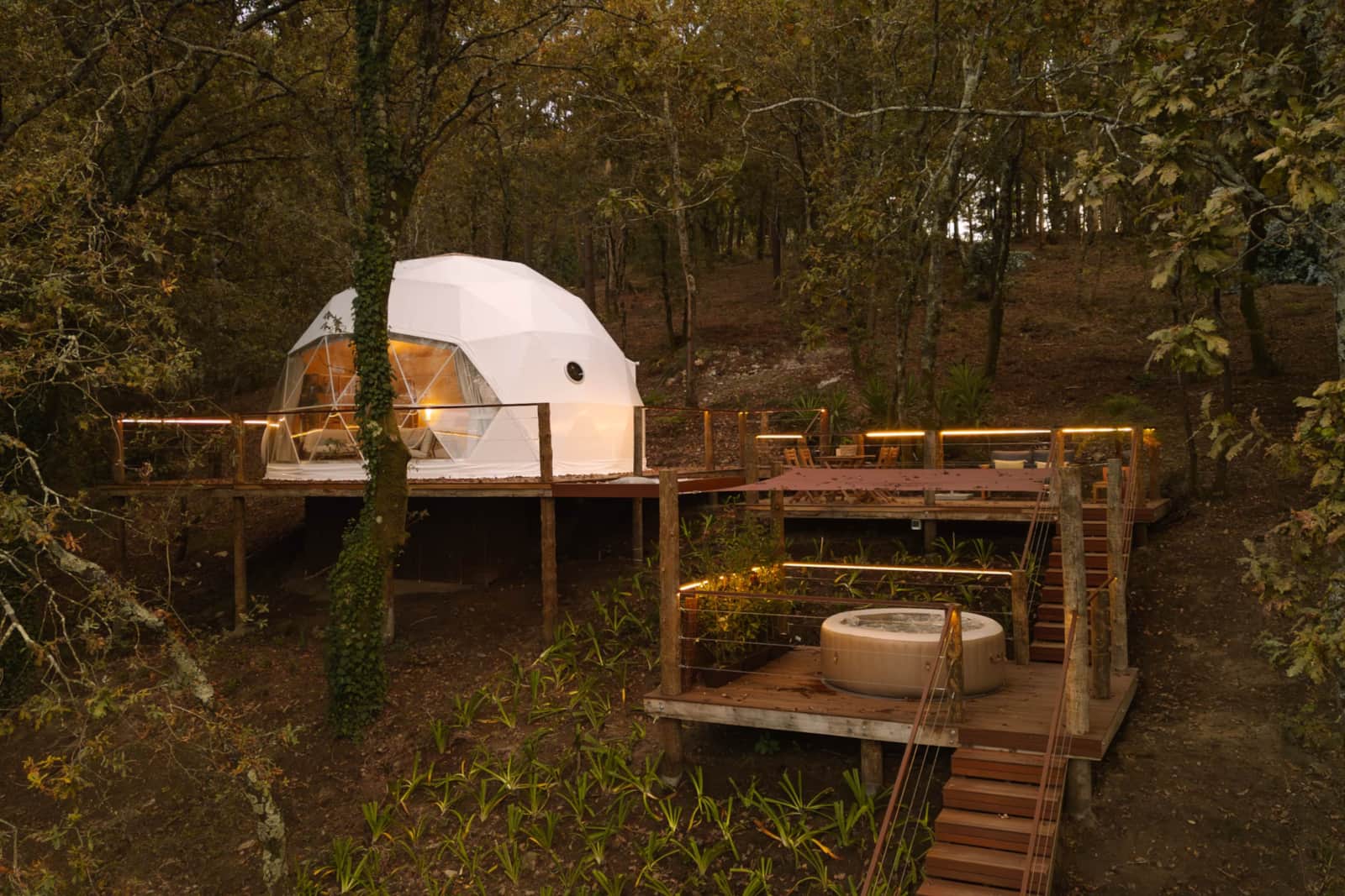 Umbra Domes — foto principal del camping