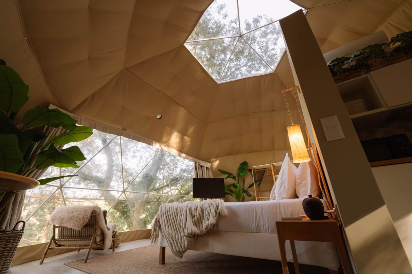 Umbra Domes — instalaciones, parcelas y entorno (imagen 6)