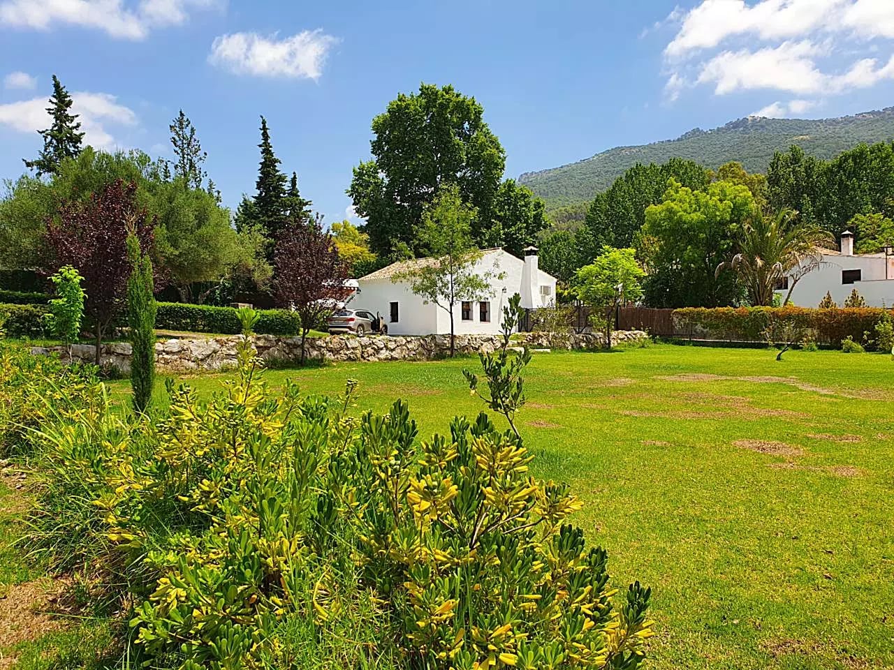 Complejo Rural El Molino de Abajo — foto principal de la casa, en El Bosque, Cádiz