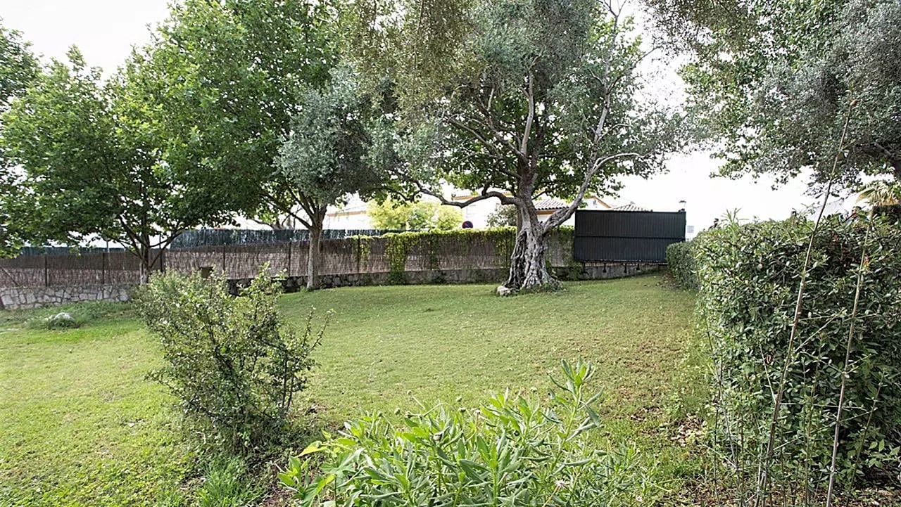 Complejo Rural El Molino de Abajo — instalaciones y entorno de la casa, en El Bosque, Cádiz (imagen 11)