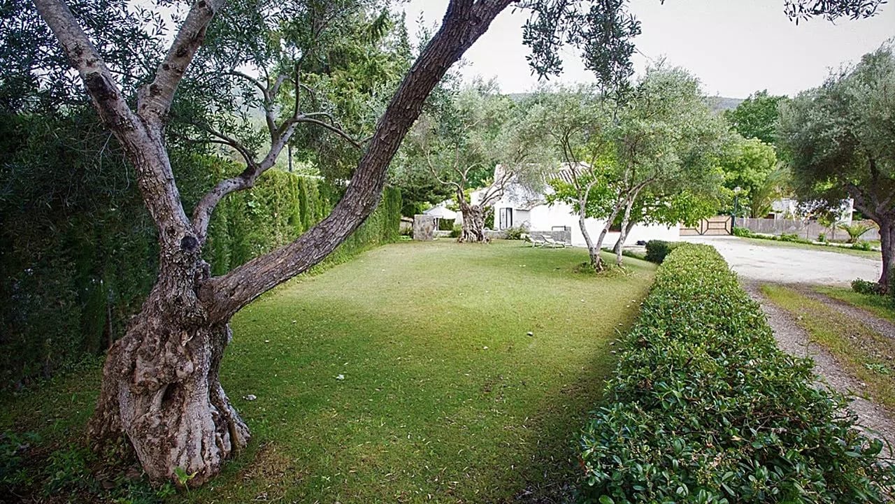 Complejo Rural El Molino de Abajo — instalaciones y entorno de la casa, en El Bosque, Cádiz (imagen 12)