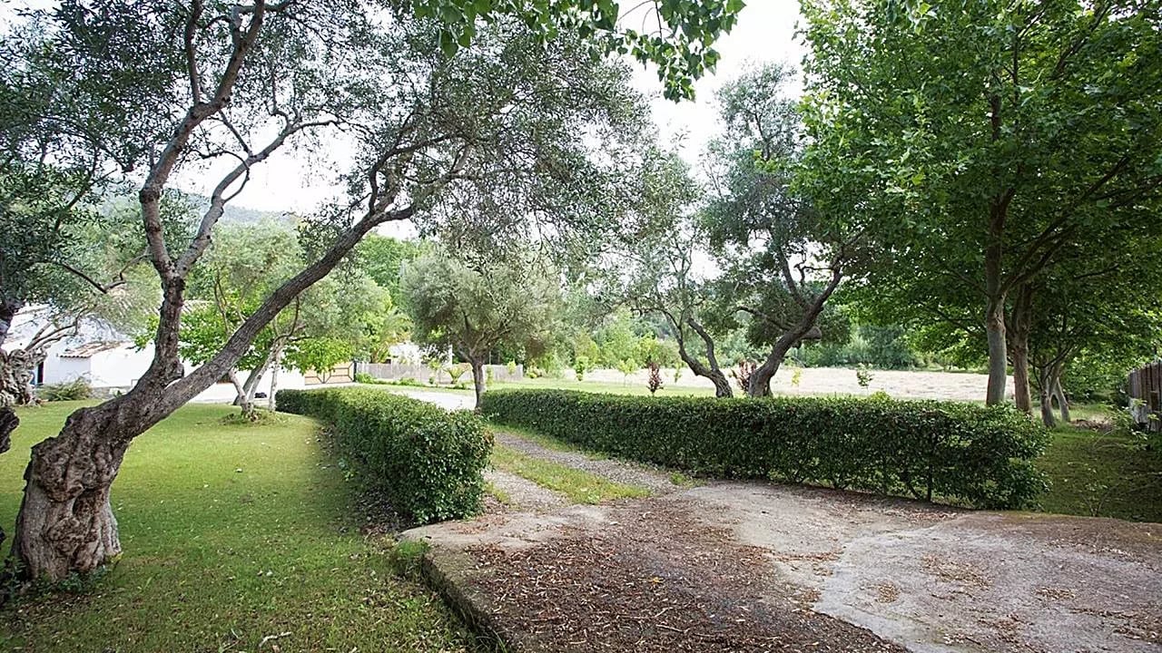 Complejo Rural El Molino de Abajo — instalaciones y entorno de la casa, en El Bosque, Cádiz (imagen 13)
