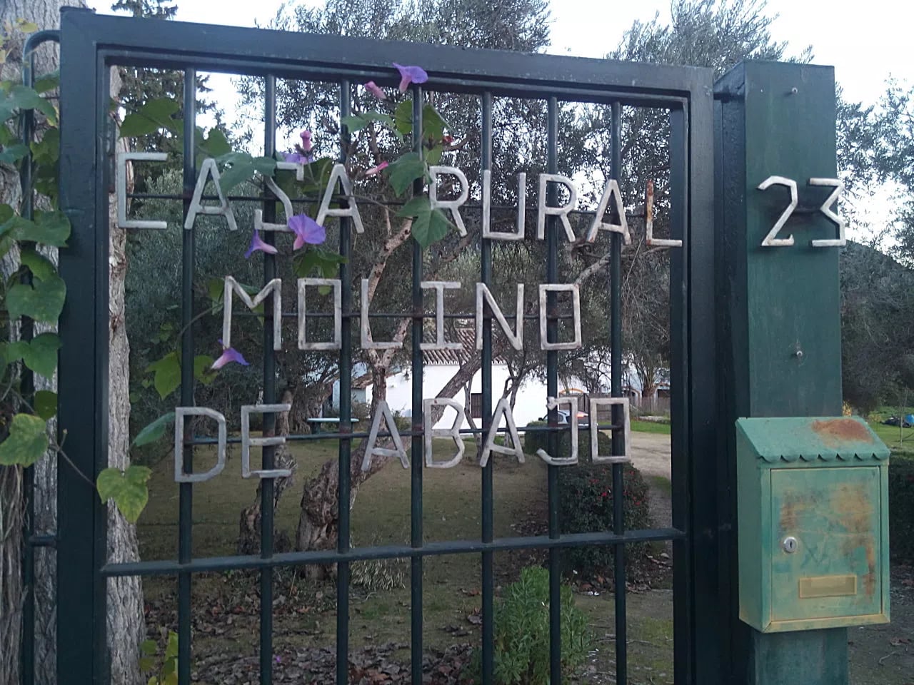Complejo Rural El Molino de Abajo — instalaciones y entorno de la casa, en El Bosque, Cádiz (imagen 16)