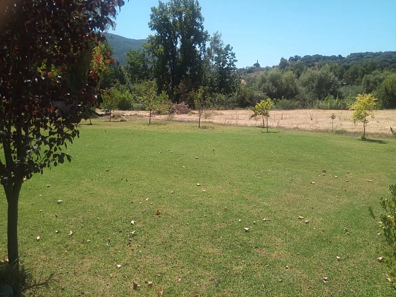 Complejo Rural El Molino de Abajo — instalaciones y entorno de la casa, en El Bosque, Cádiz (imagen 17)