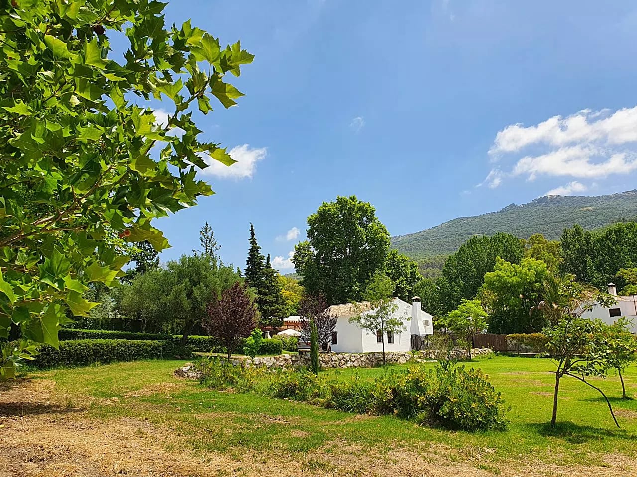 Complejo Rural El Molino de Abajo — las dos casas juntas de la casa, en El Bosque, Cádiz (imagen 2)