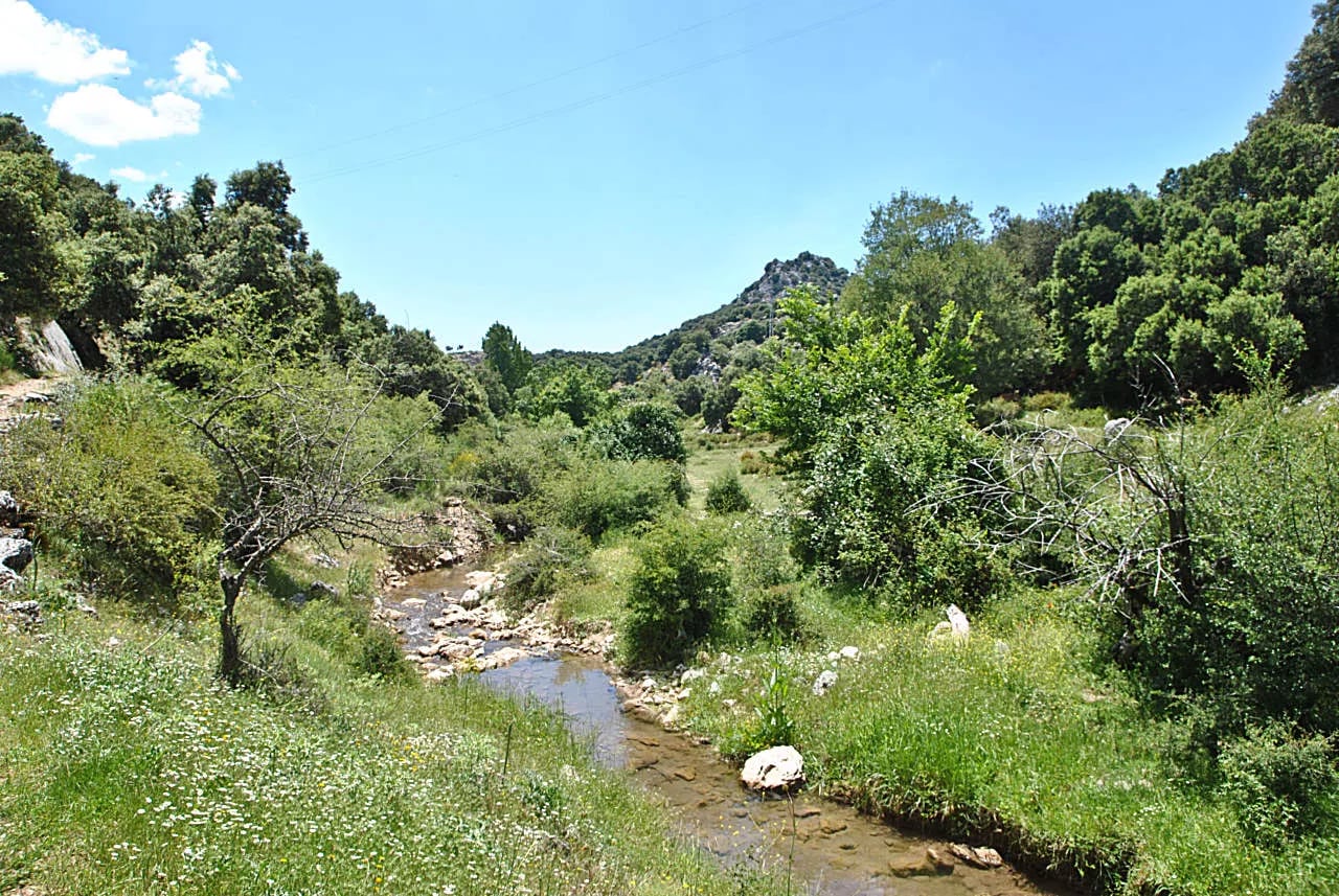 Complejo Rural El Molino de Abajo — instalaciones y entorno de la casa, en El Bosque, Cádiz (imagen 19)