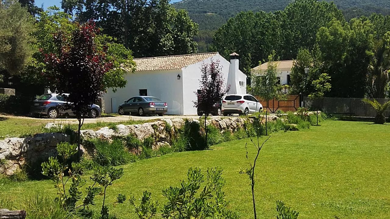 Complejo Rural El Molino de Abajo — casa los perales del molino de la casa, en El Bosque, Cádiz (imagen 60)