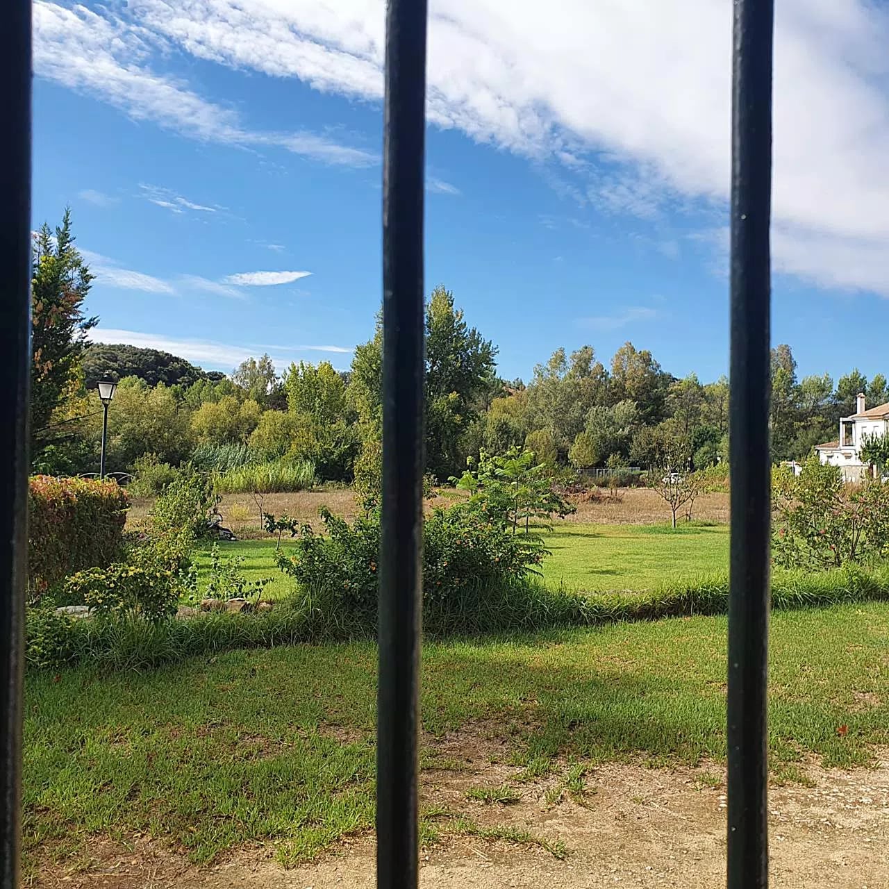 Complejo Rural El Molino de Abajo — casa los perales del molino de la casa, en El Bosque, Cádiz (imagen 56)