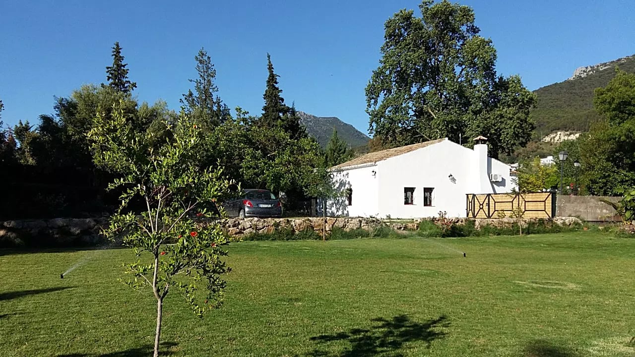 Complejo Rural El Molino de Abajo — casa los perales del molino de la casa, en El Bosque, Cádiz (imagen 41)