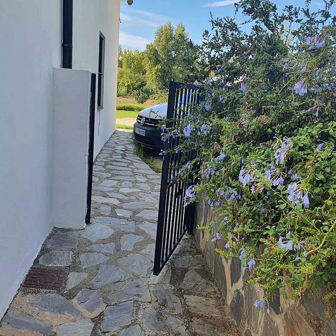 Complejo Rural El Molino de Abajo — casa los perales del molino de la casa, en El Bosque, Cádiz (imagen 67)