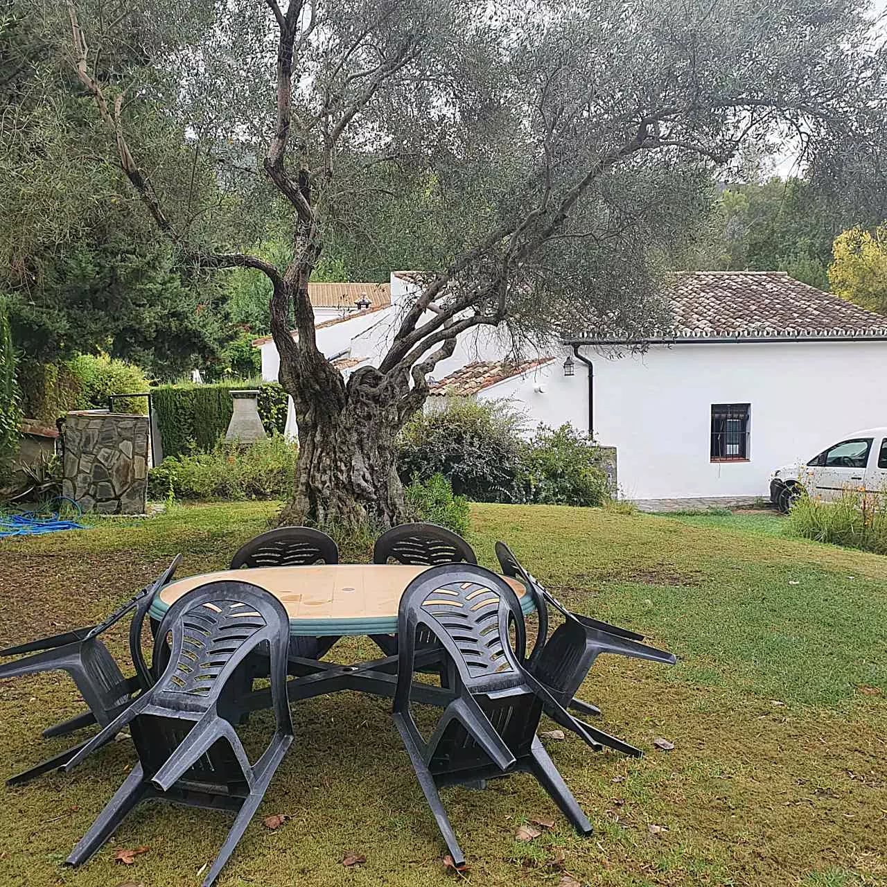 Complejo Rural El Molino de Abajo — casa los perales del molino de la casa, en El Bosque, Cádiz (imagen 65)