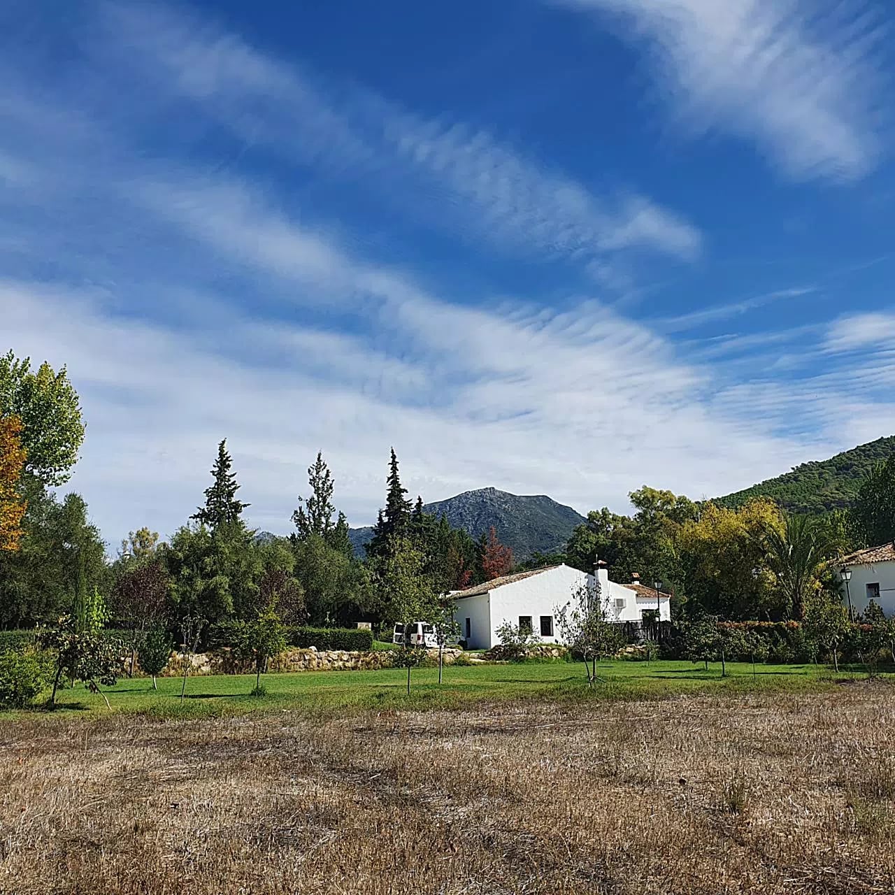 Complejo Rural El Molino de Abajo — casa los perales del molino de la casa, en El Bosque, Cádiz (imagen 54)