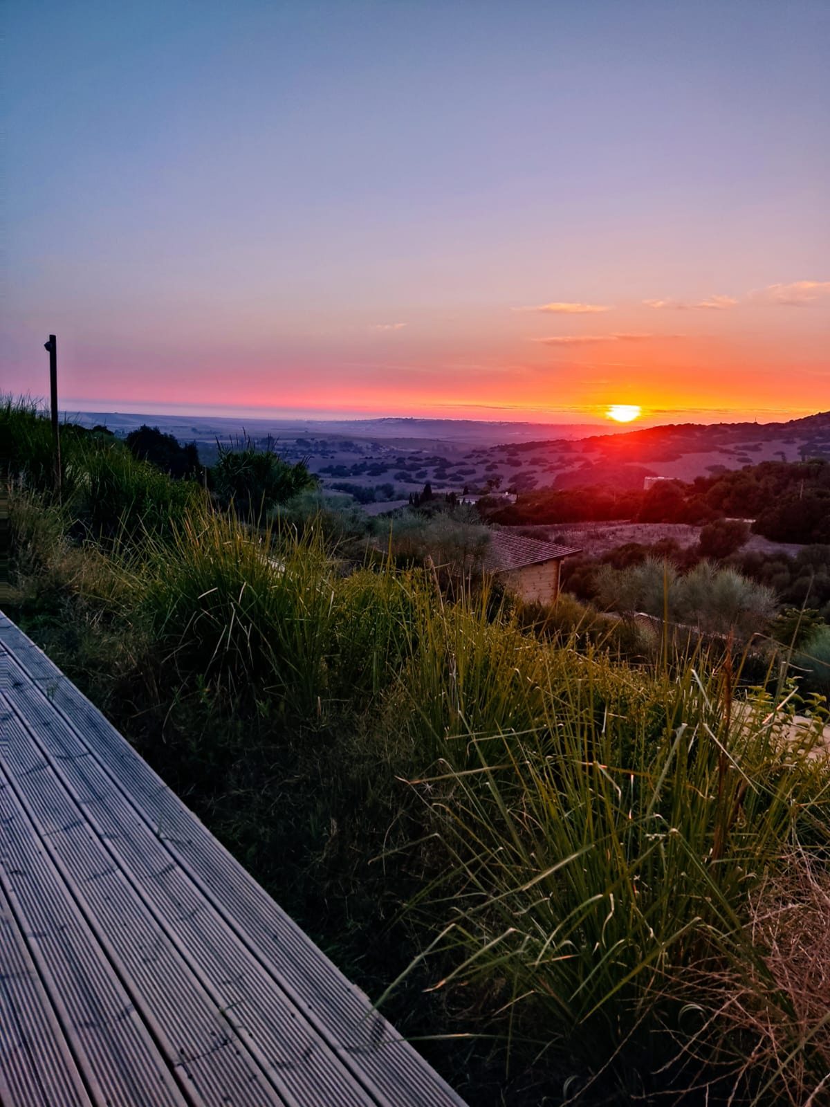 Petirrojo Eco-lodge — el jardín y las vistas de la cabaña, en Vejer de la Frontera, Cádiz (imagen 8)