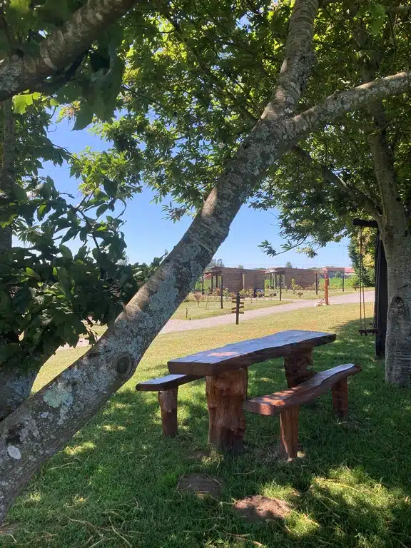 O Refuxio dos Cebreiros — foto 5