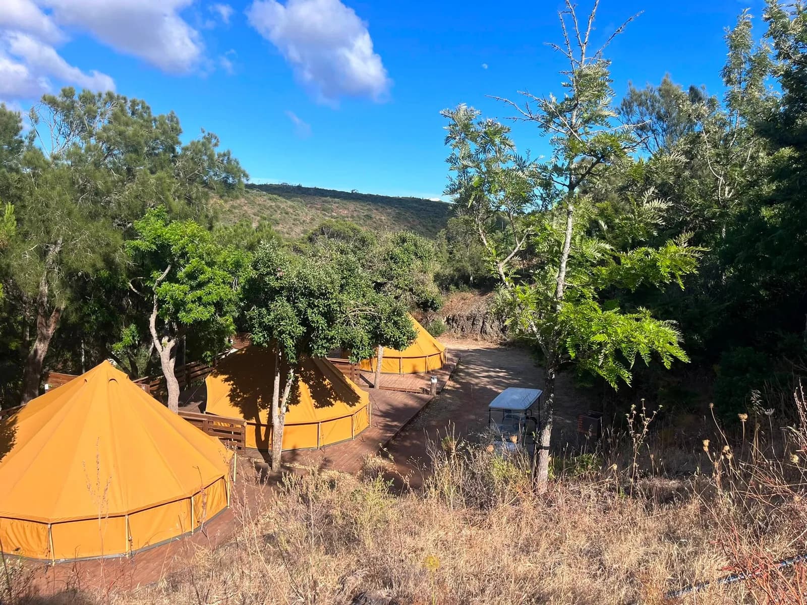 Salema Eco Camp — camping en Salema, Vila do Bispo (Algarve), Portugal · Acampada a la sombra de los árboles