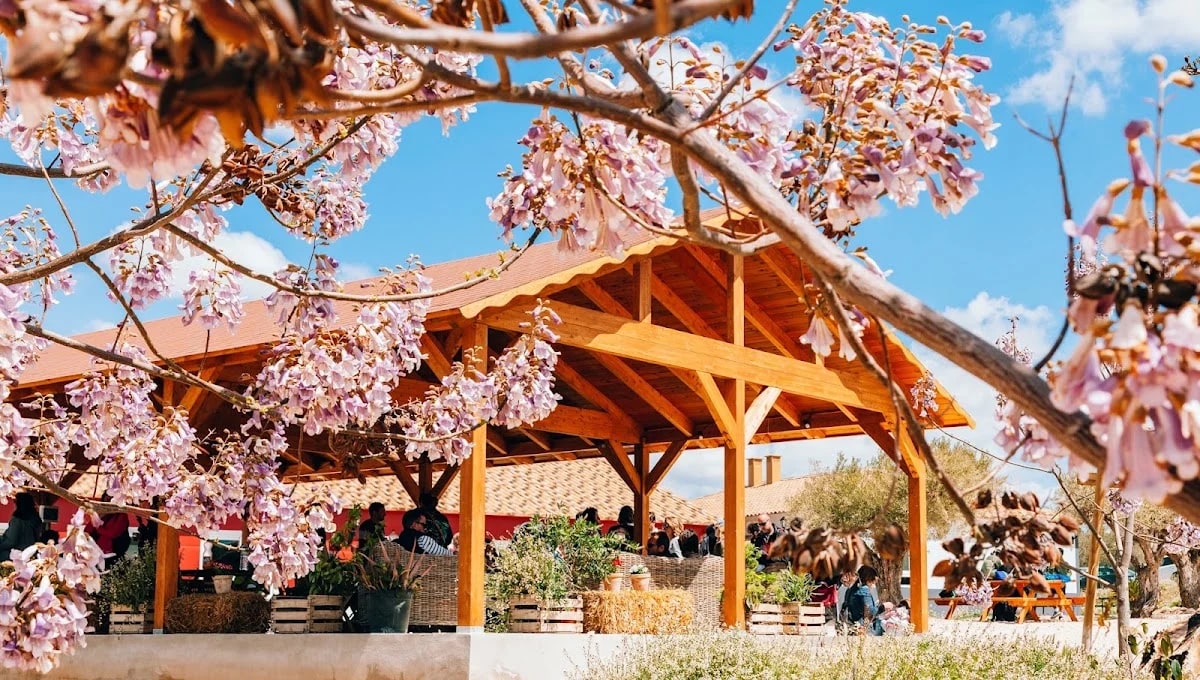 Alojamiento Rural y Centro de Ocio en Ibi (Alicante) Finca Daroca — camping en CV-798, Km 2,5, 03440, Alicante, España, Comunidad Valenciana · 4.1 de 5 (74 opiniones)