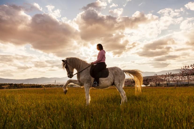 Alojamiento Rural y Centro de Ocio en Ibi (Alicante) Finca Daroca — foto 4