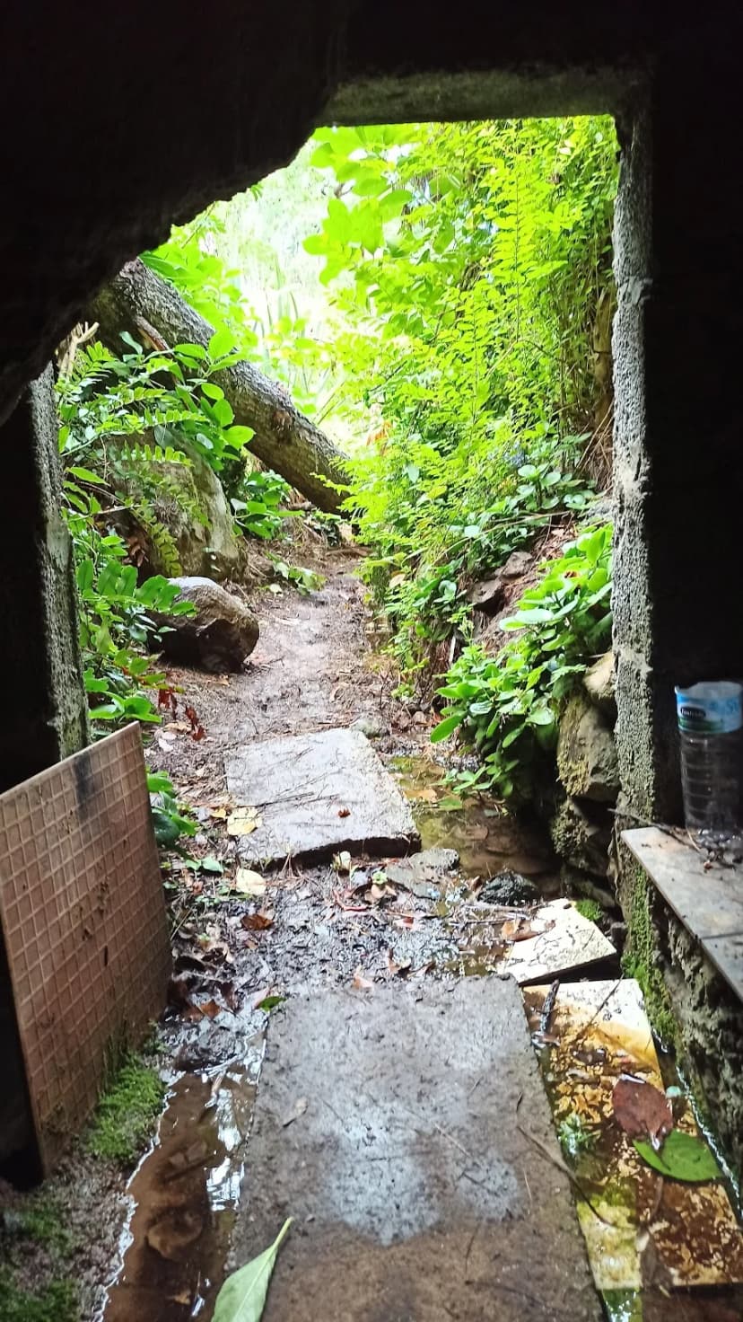 Barranco de la Arena — foto 5