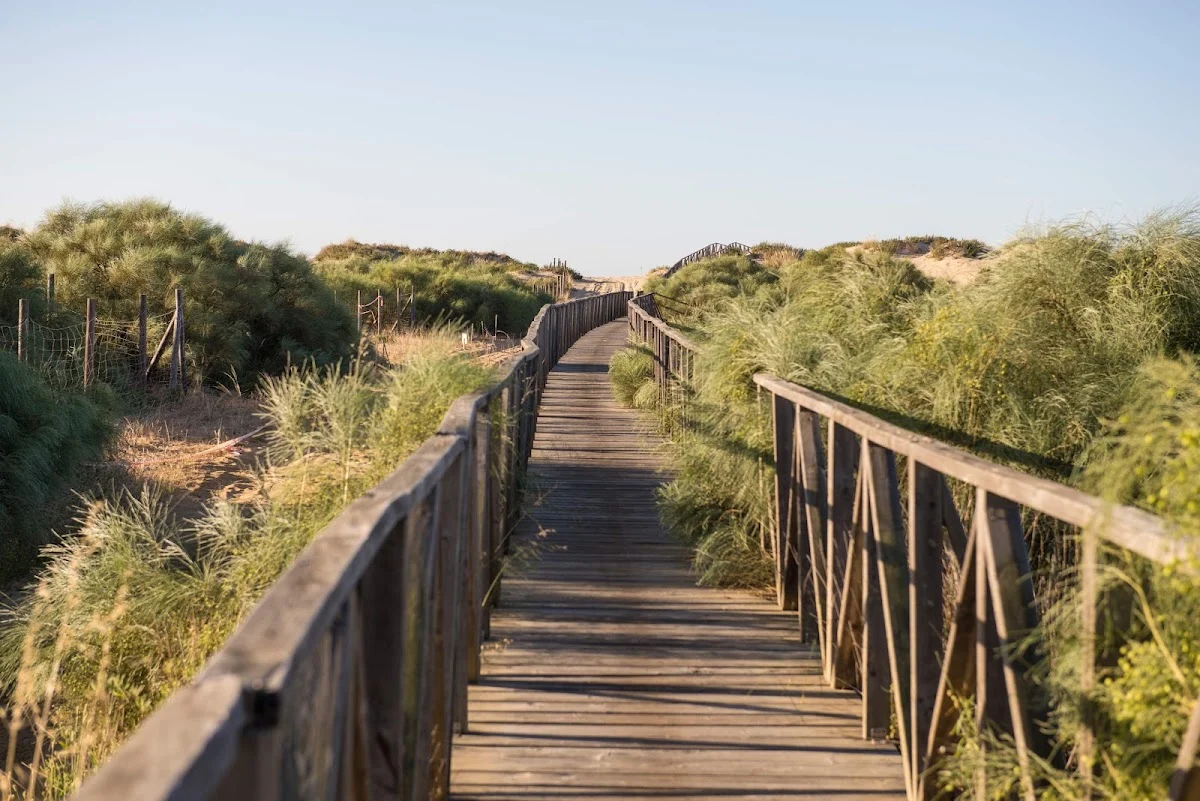 Camping Antilla — camping en Lepe, Huelva, Andalucía · 3.7 de 5 (793 opiniones)