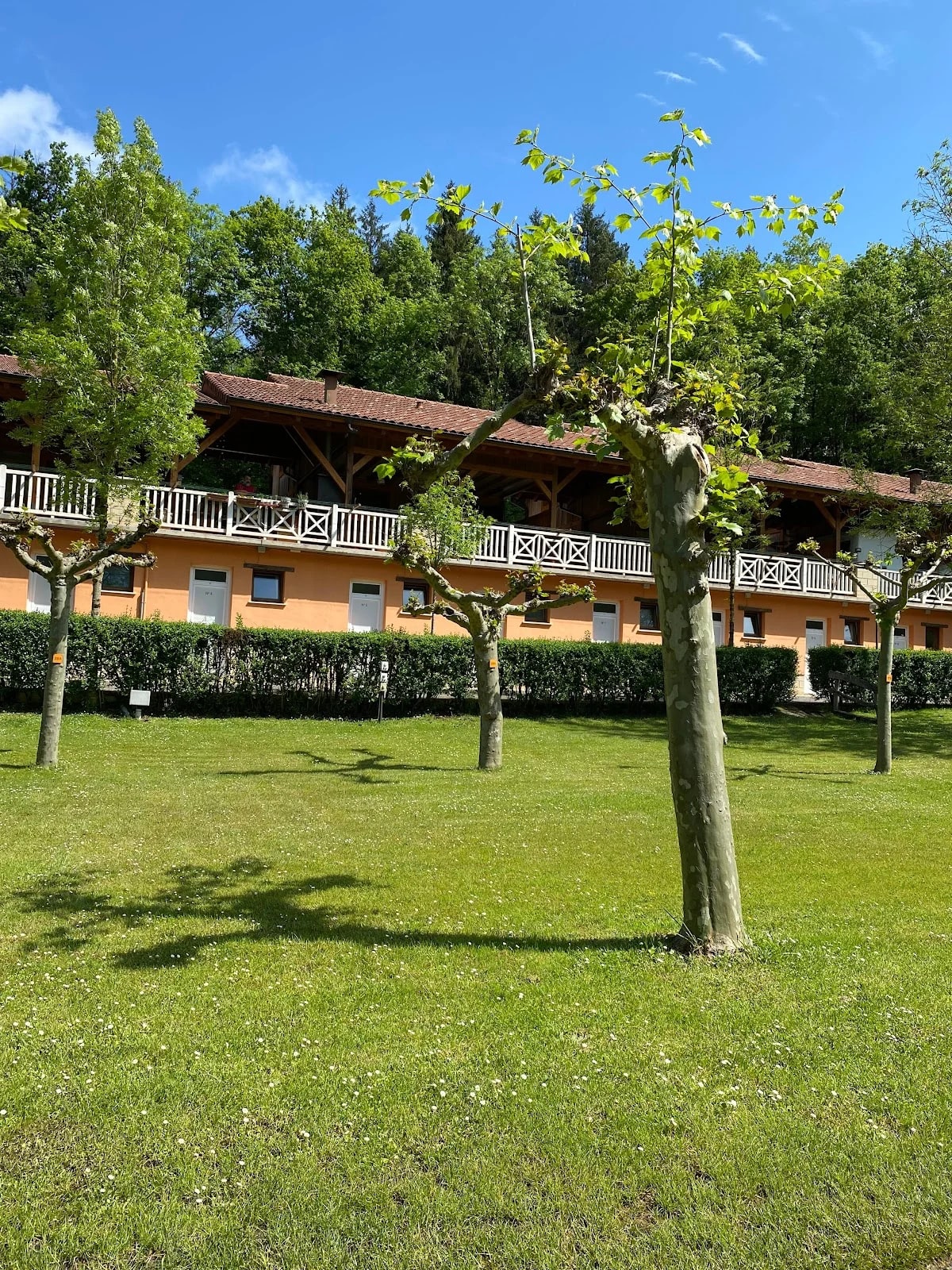 Camping Aralar — camping en Lekunberri, Navarra, Navarra · 4.2 de 5 (814 opiniones)