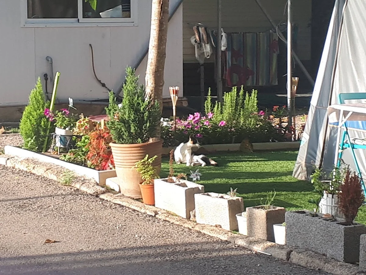 Camping Barraquetes — camping en Mareny de Barraquetes, Valencia, Comunidad Valenciana · 3.4 de 5 (724 opiniones)
