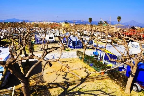 Camping Coelius — camping en Miramar, Valencia, Comunidad Valenciana · 4.3 de 5 (480 opiniones)