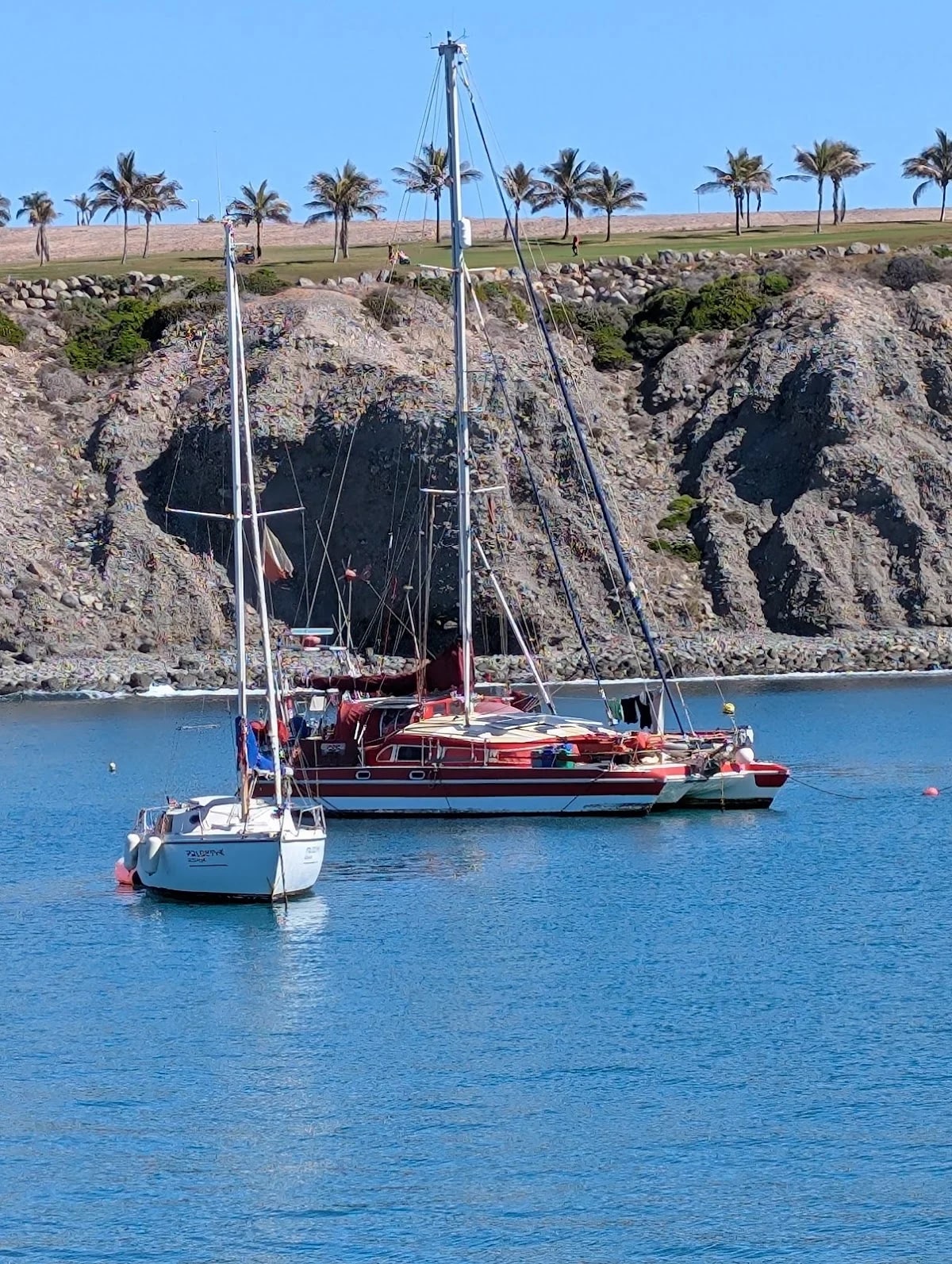 Camping de Pasito Blanco — camping en Pasito Blanco, Las Palmas, Canarias · 4.1 de 5 (55 opiniones)