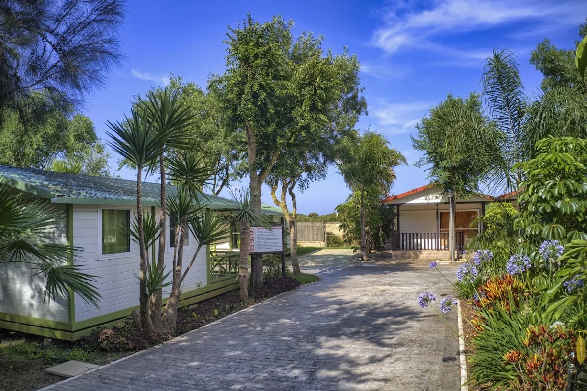 Camping El Faro. Camping en Conil de la Frontera. Bungalows . — camping en Costa de la Luz, Conil de la Frontera, Cádiz, Cádiz, Andalucía · 4.1 de 5 (2336 opiniones)