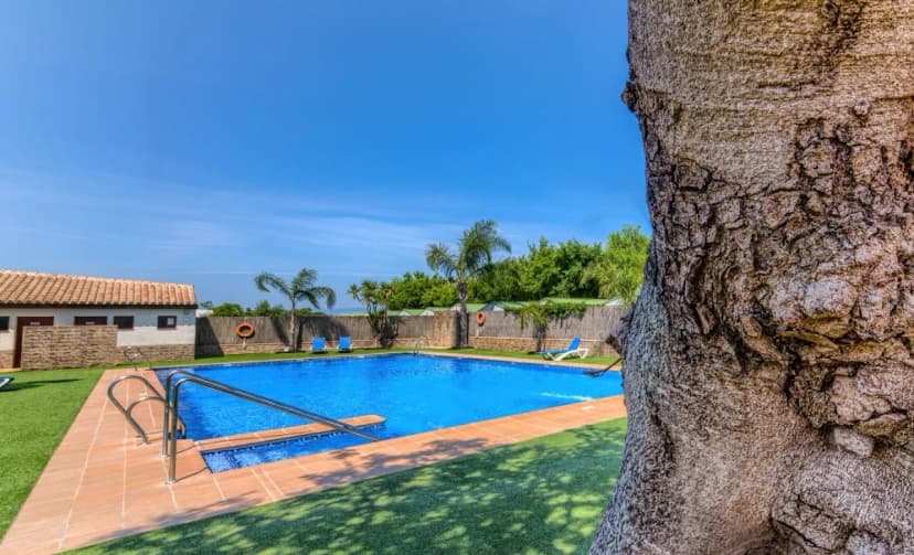 Camping El Faro. Camping en Conil de la Frontera. Bungalows . — foto 3