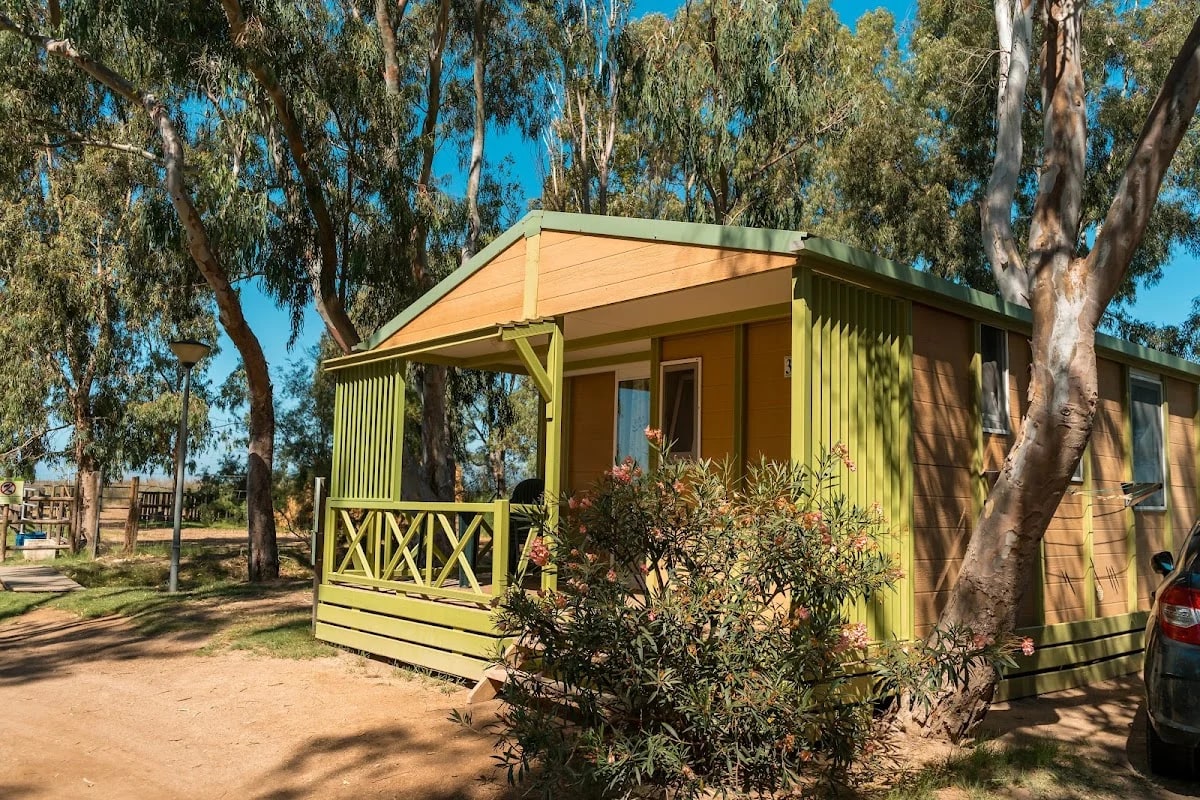 Camping Eucaliptus — Platja Eucaliptus, s/n, 43870 Amposta, Tarragona, Cataluña, España