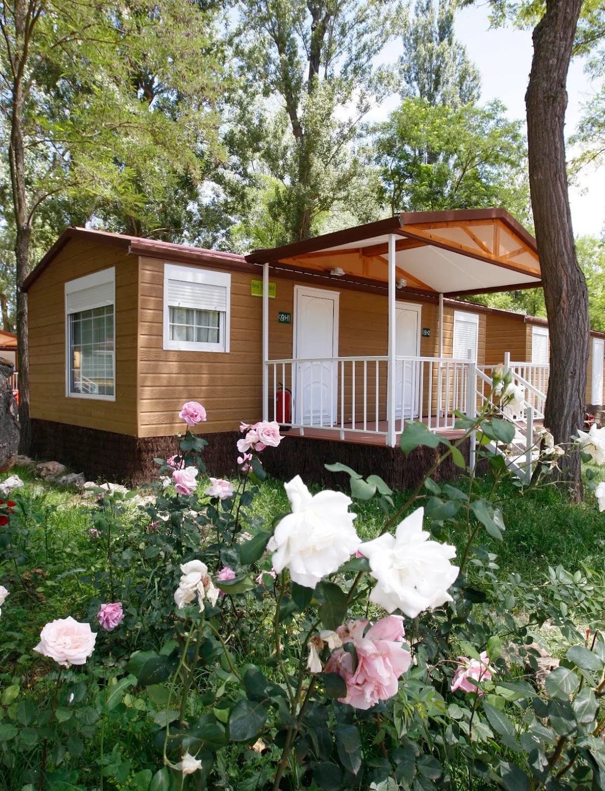 Camping Fuentes Blancas — camping en Burgos, Burgos, Castilla y León · 3.8 de 5 (1455 opiniones)