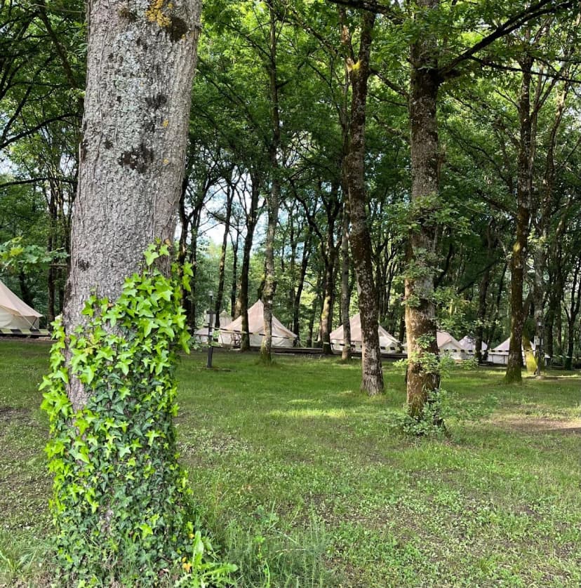 Camping & Glamping Vila de Sarria — foto 4, en Sarria, Lugo