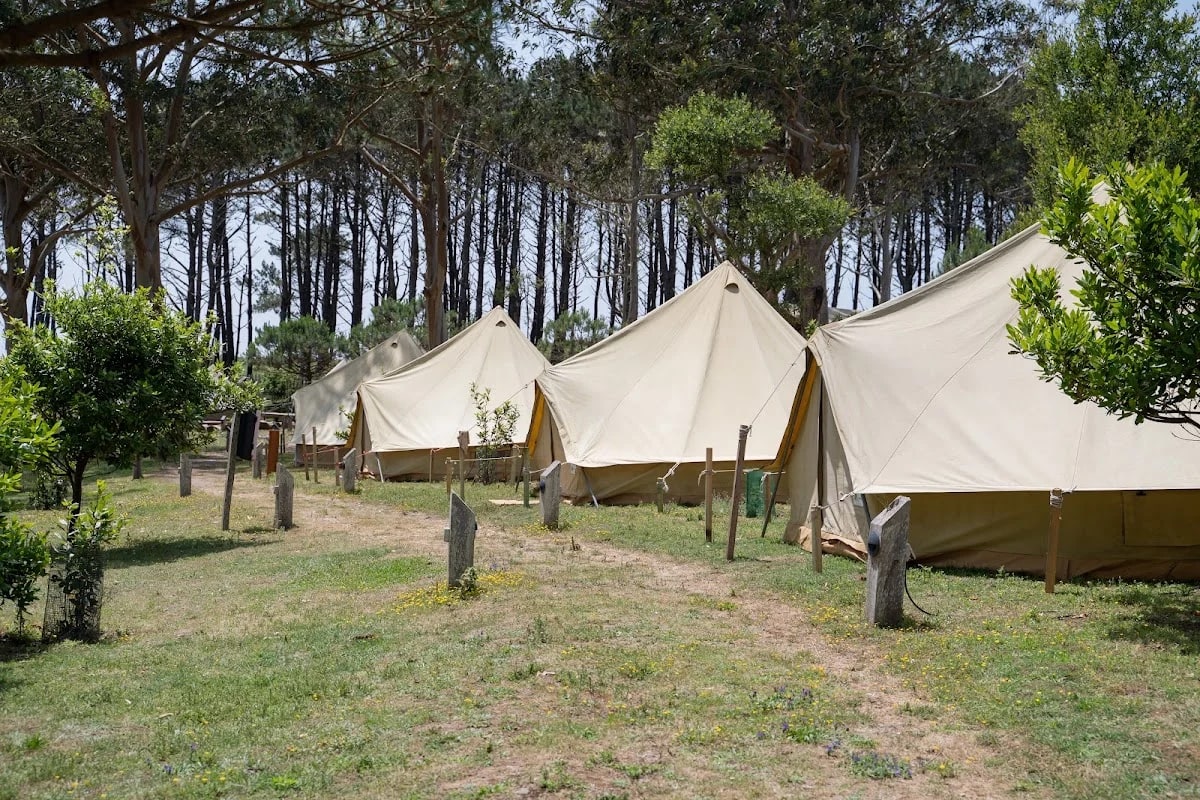 Camping Isla de Ons — camping en Ons, Pontevedra, Galicia · 4.4 de 5 (569 opiniones)