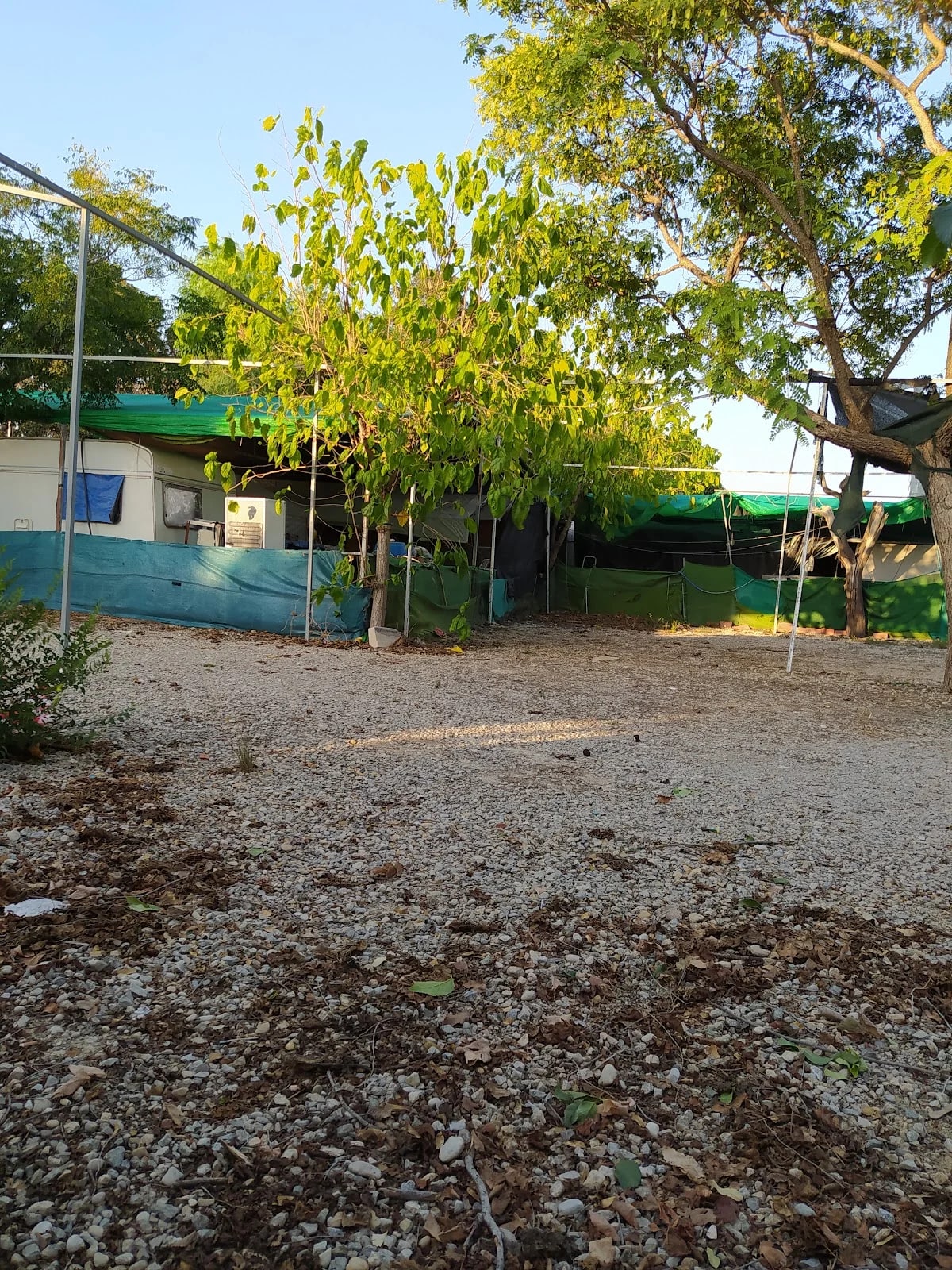 Camping la Paz — camping en Sangonera la Seca, Murcia, Murcia · 3.4 de 5 (208 opiniones)