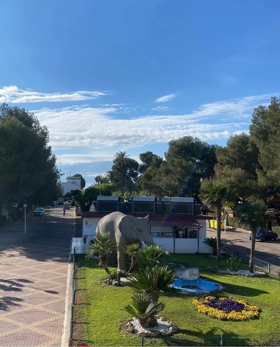 Camping L'Alqueria — camping en Gandia, Valencia, Comunidad Valenciana · 4.1 de 5 (1744 opiniones)